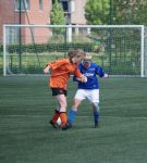 120513-lvdv-heeswijkavesteijn_13_copy